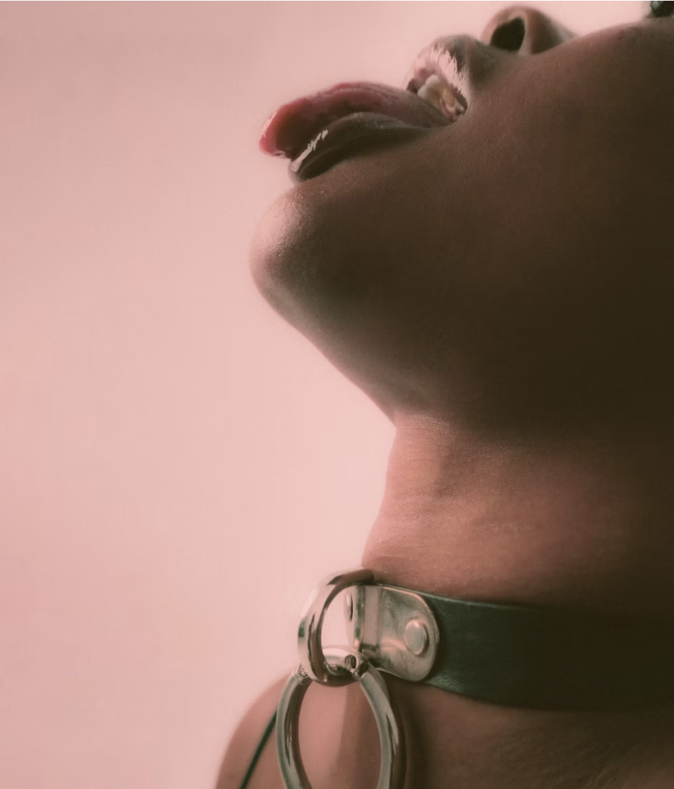 Kaynarca Escort